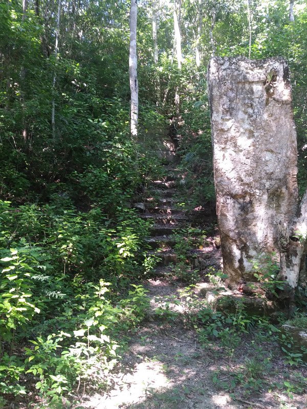 Stela and Stairs Leading to Uncovered Structure