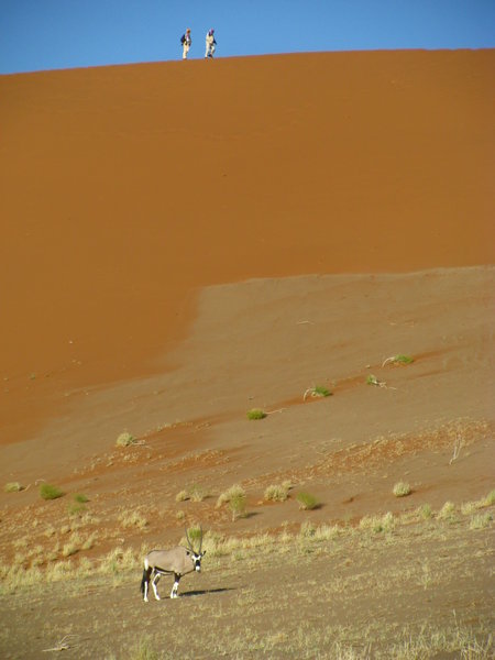 Oryx and Hikers