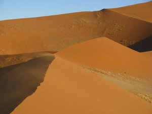 Windblown dune