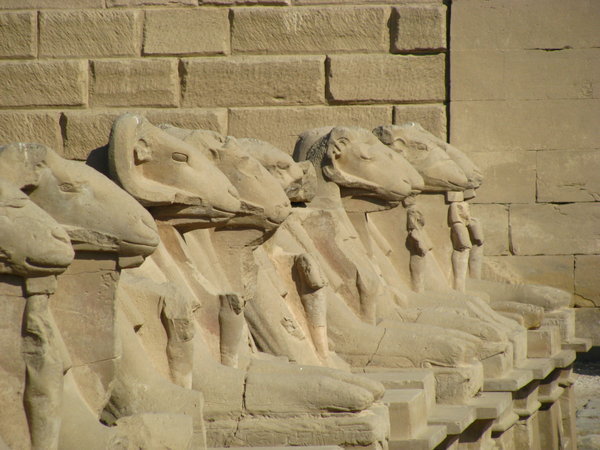 Ram Headed Sphinxes at Karnak