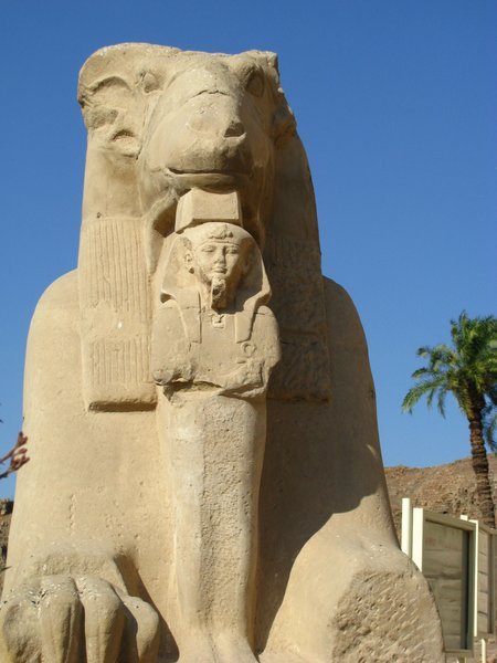 Close up of Sphinx 