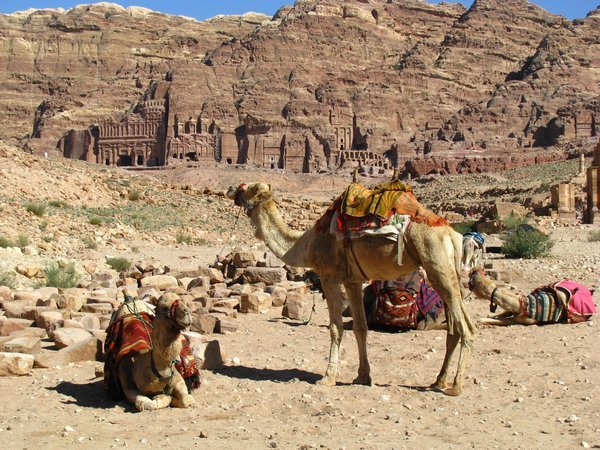 Camels and Royal Tombs
