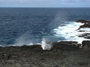 The Blowhole
