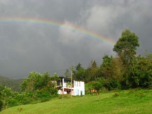 Rainbow and Horse