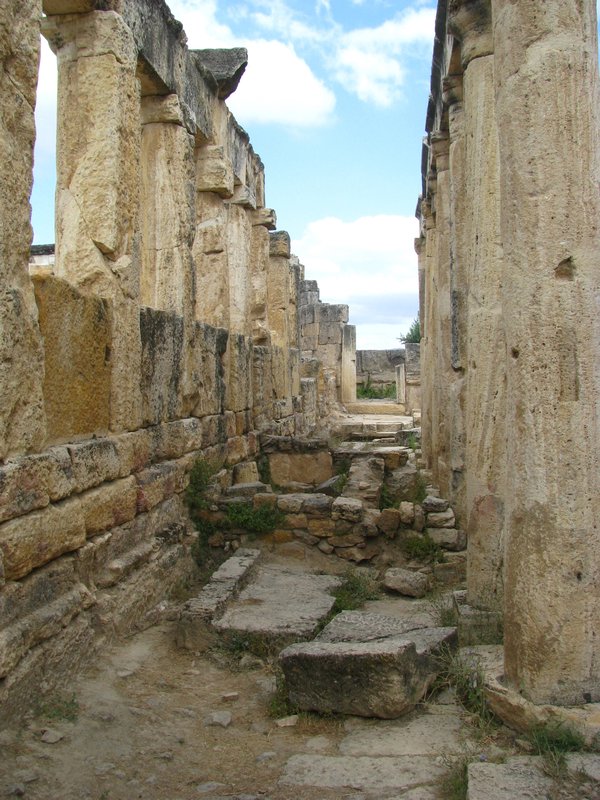 Latrine Ruins