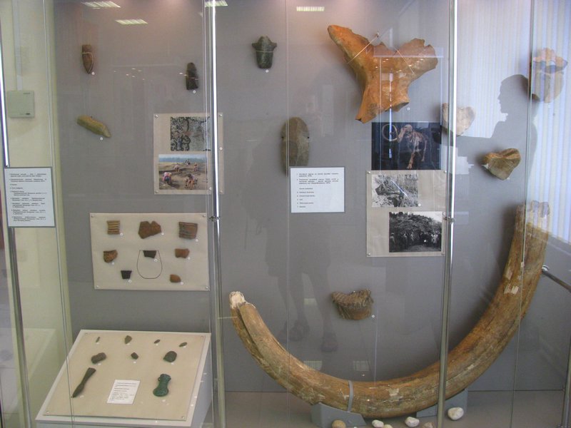 Mammoth Tusk