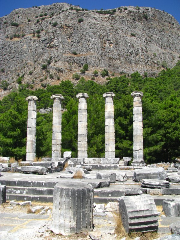 Temple of Athena and Mount Mikale