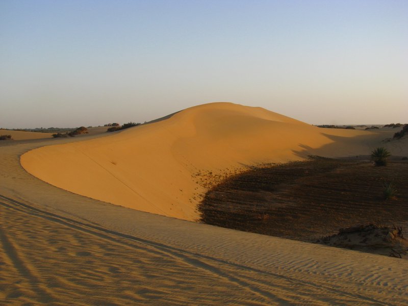 Nice Dune
