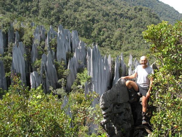 Pinnacles - Gunung Mulu NP, Borneo