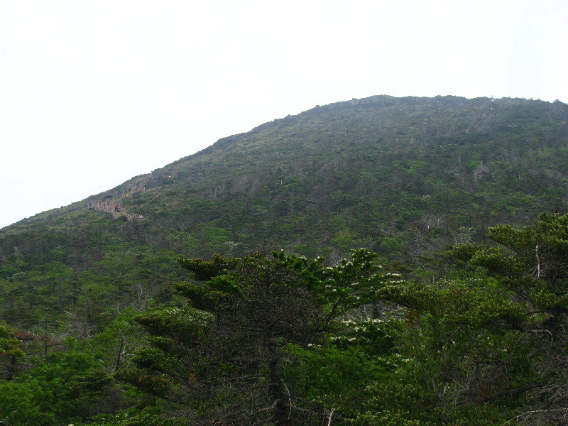 Summit in View