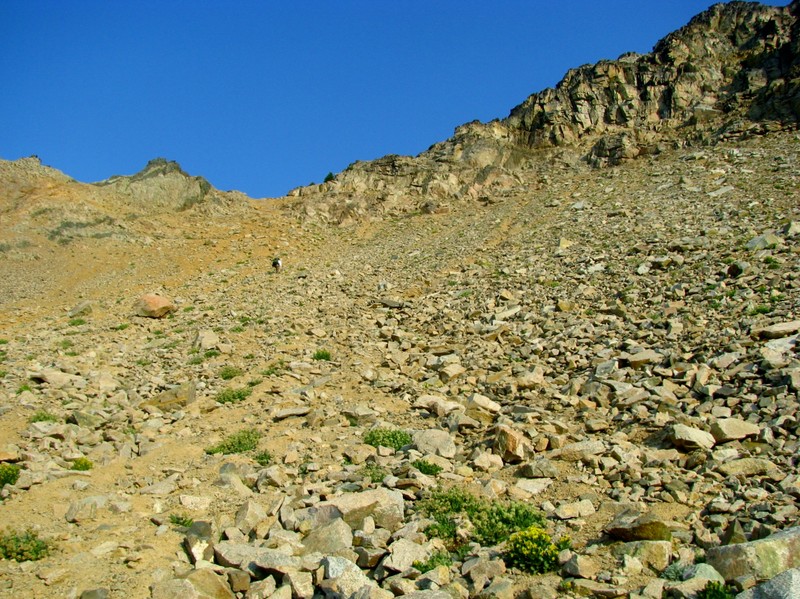 Ascending the Scree