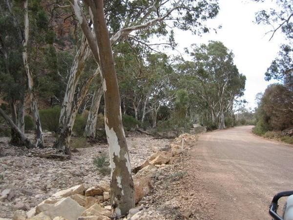 Road between Leigh Creek and Arkaroola