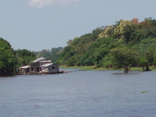 amazon houses