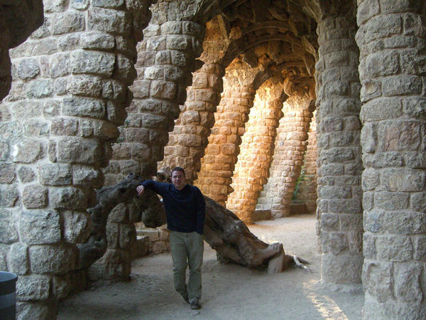 Gaudi's Creation