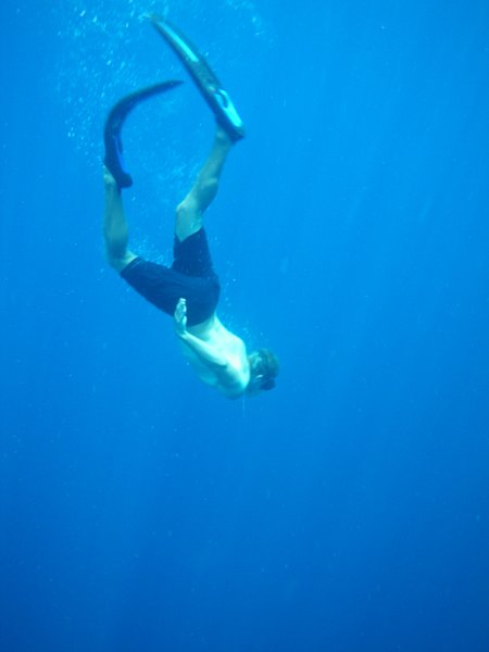 Mid Ocean Swim