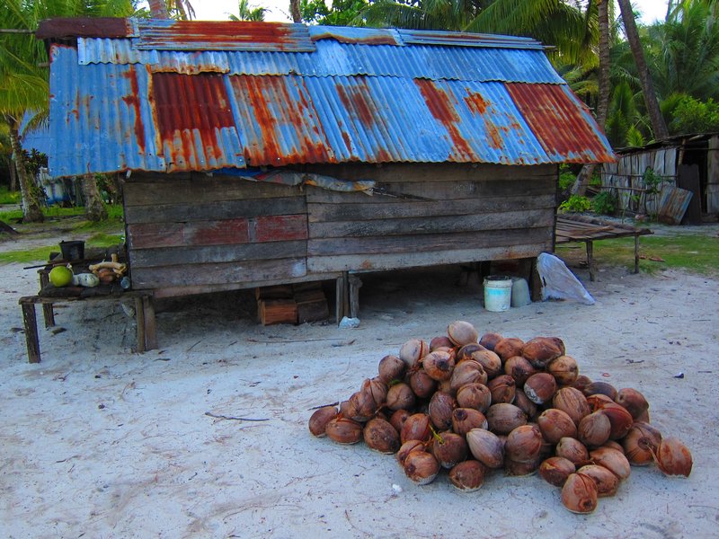 Coconutman's Hut