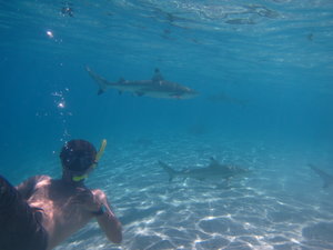 Snorkeling 