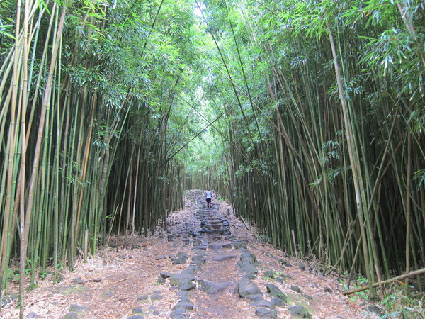 The path in Hana