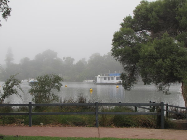 Canning River morning