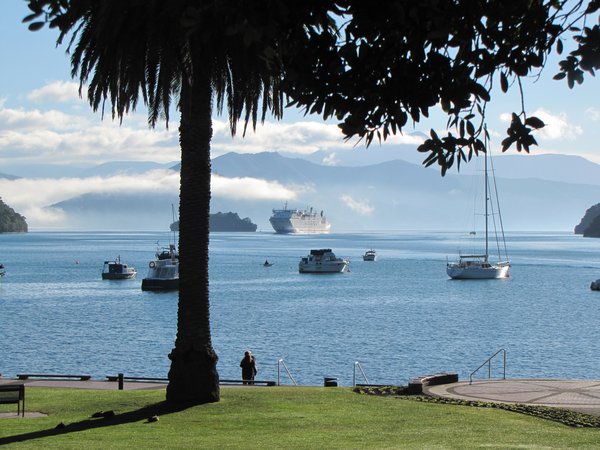 Ferry coming in, Picton