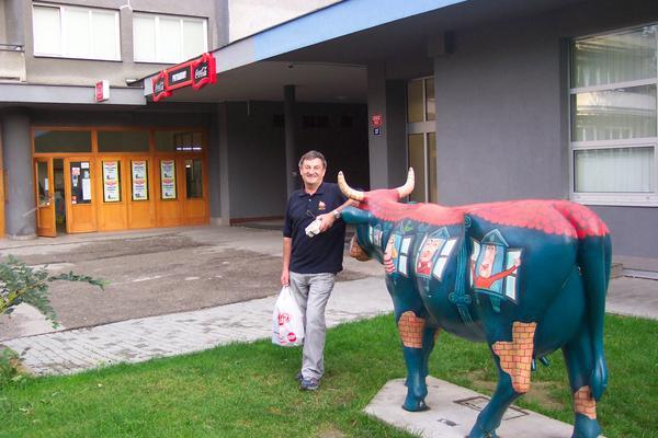 Adrian with cow