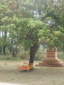 Monks bed under a tree!