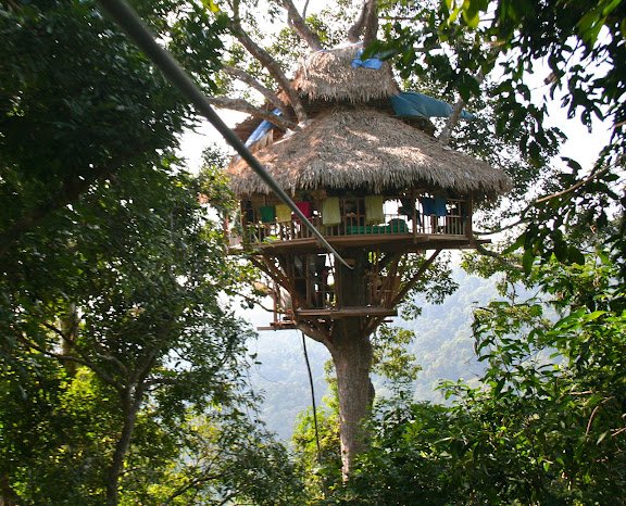 Our awesome tree house!!