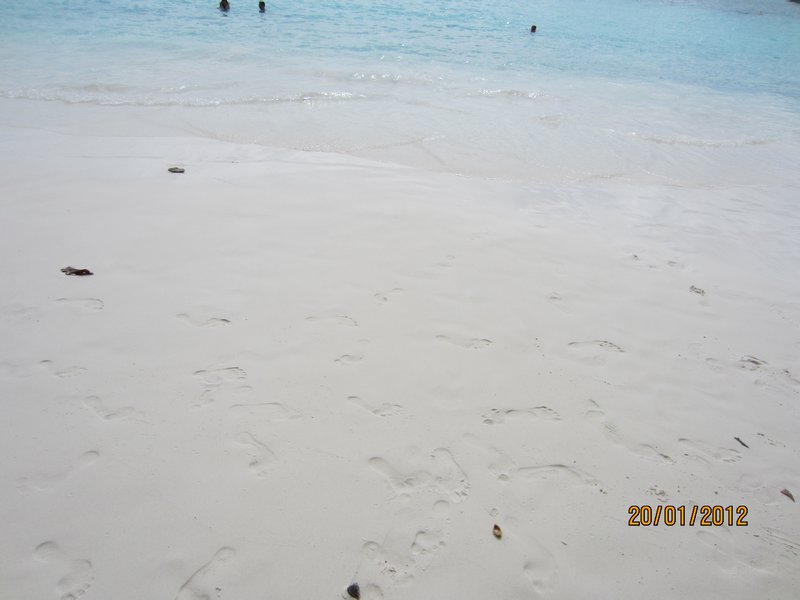 look how white the sand is