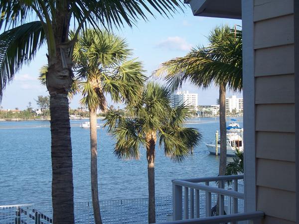The View from our room at the Jupiter Waterfront - we loved it here!!