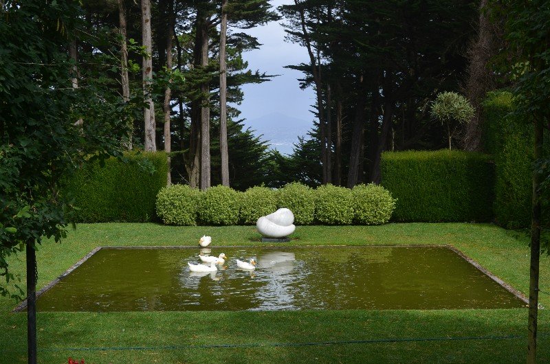 Grounds at Larnach Castle