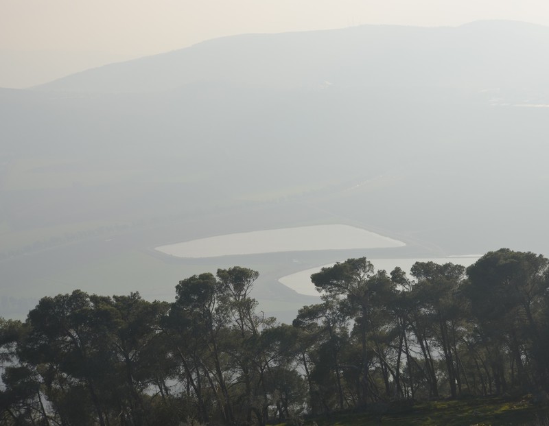 View from top of Mount Tabor