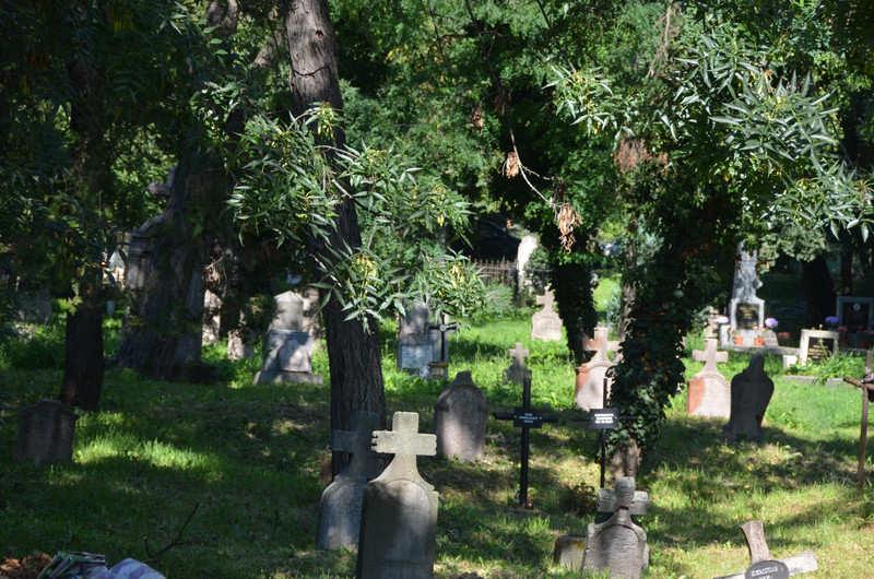 Cemetery in Szentendre