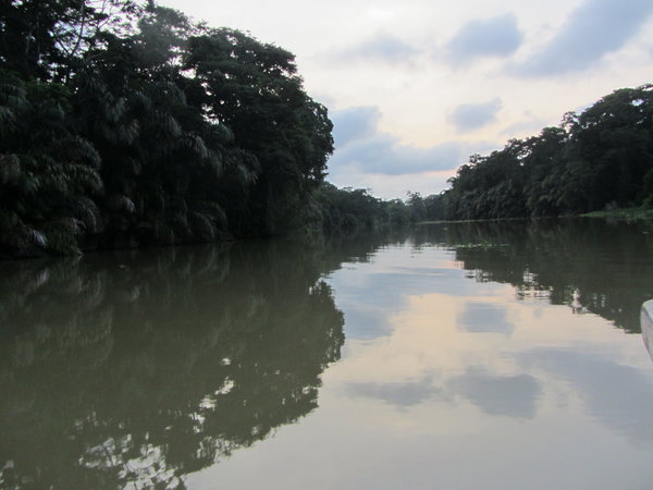 Canal Tortuguero
