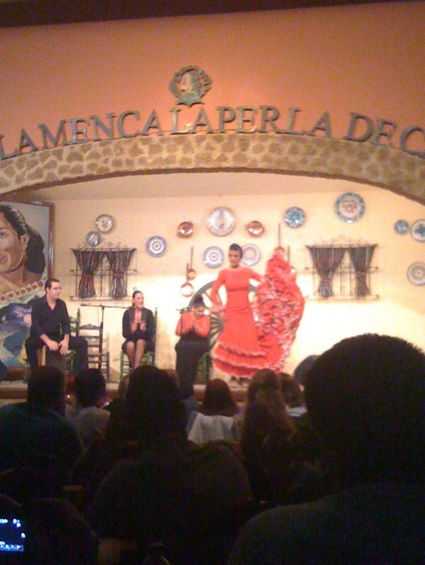Flamencoshow2