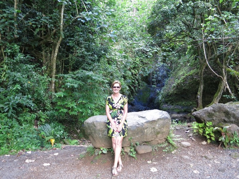 At the waterfall, sans dwr!