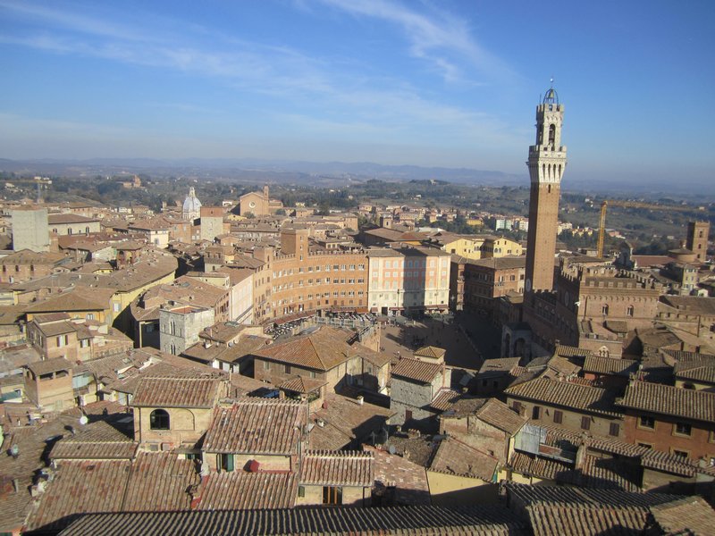 Bird's eyeview of Siena