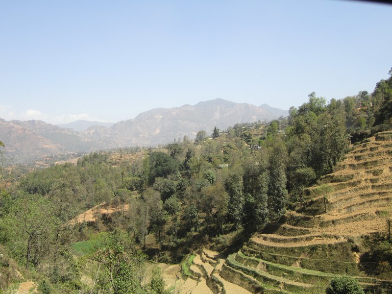 Terraces in the valley