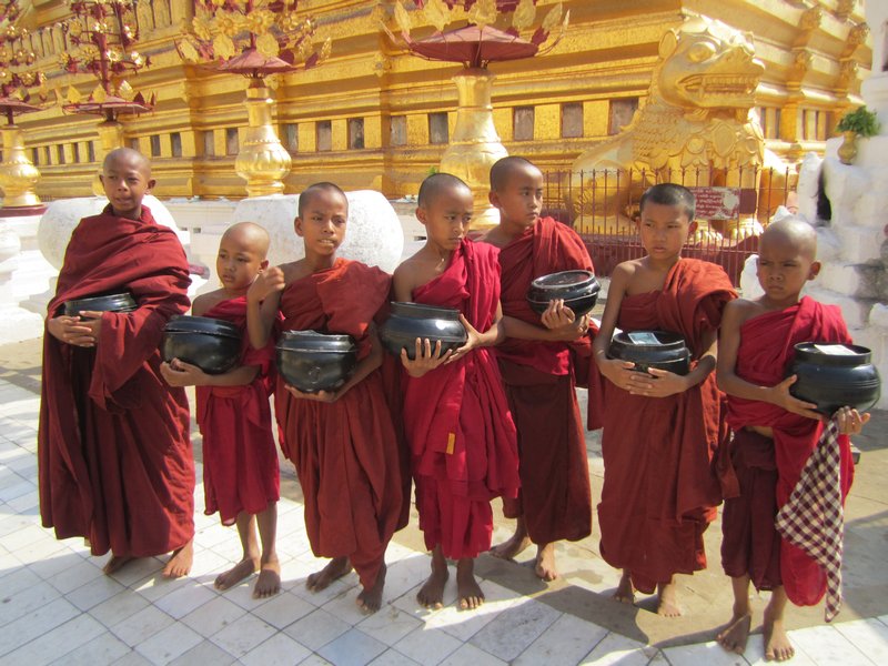 Many mini monks