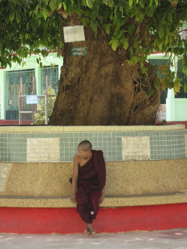 Monk under a tree at Shwemawdaw Pagoda