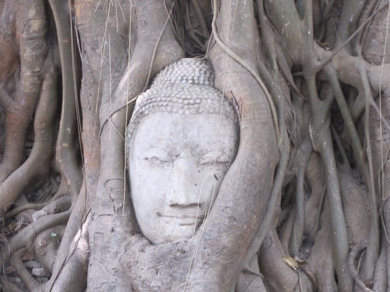  Most Famous Buddha Head - Ayuthaya