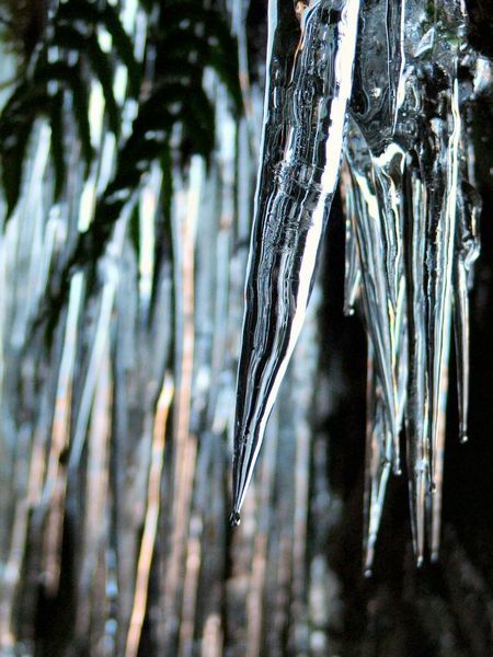 Icicles - Millford Sound
