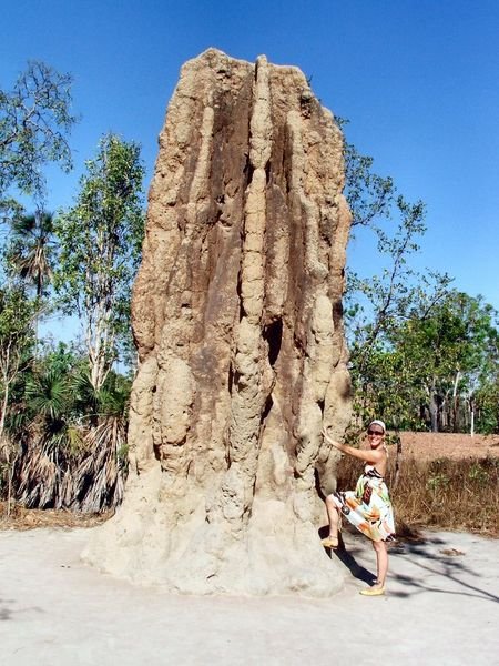 Cathedral Termite Mound - Lichfield National Park