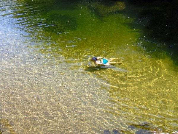 Swimming at Mossman Gorge