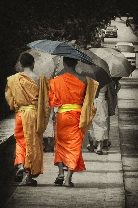 Monks - Luang Prabang