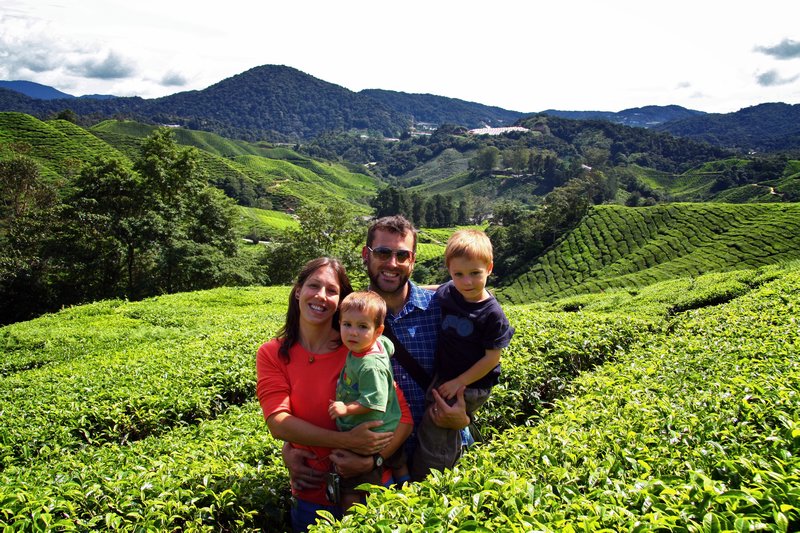 Boh Tea Plantation - Cameron Highlands