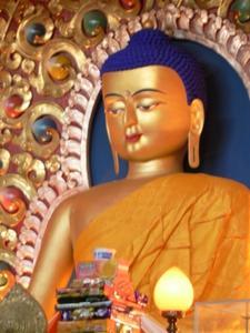Buddha-Postcard