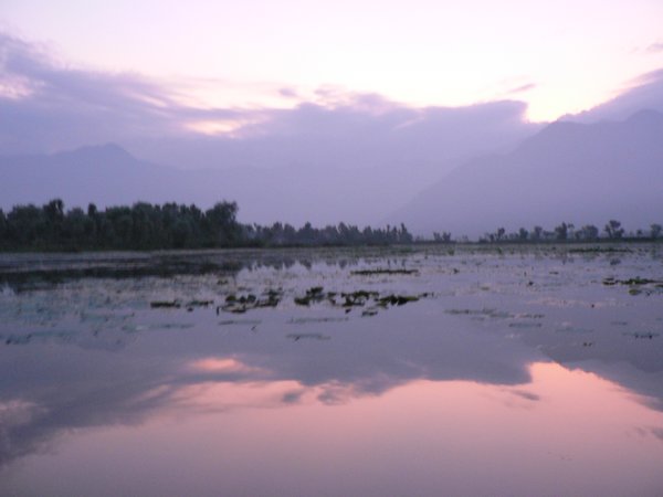 Sunrise on Dal Lake