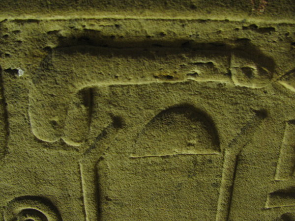 Hieroglyphic Penis
