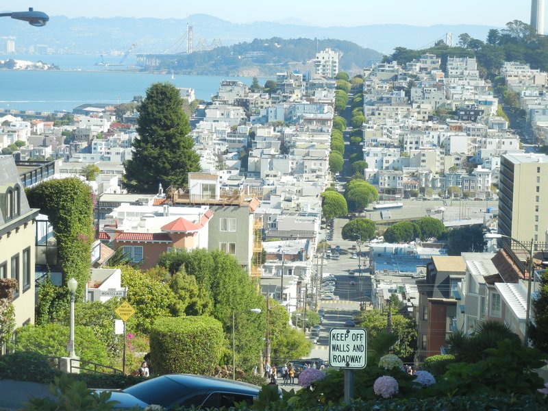 View From Lombard St