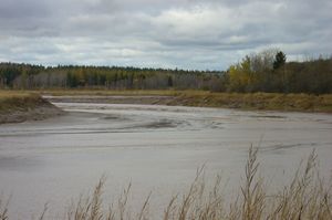 Bay of Fundy, tidal bore coming around the bend in river
